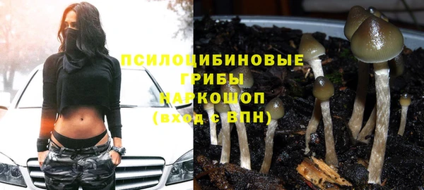 бутират Богородицк