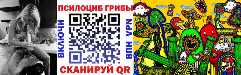 Псилоцибиновые грибы GOLDEN TEACHER  наркотики  блэк спрут онион  Свободный 